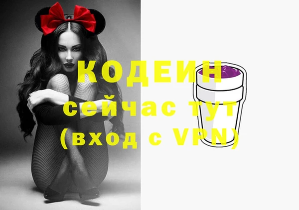 гашик Киренск