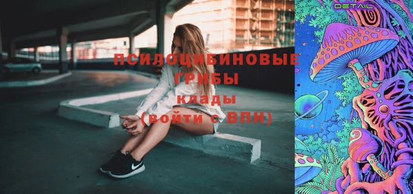 ГАЛЛЮЦИНОГЕННЫЕ ГРИБЫ Козловка