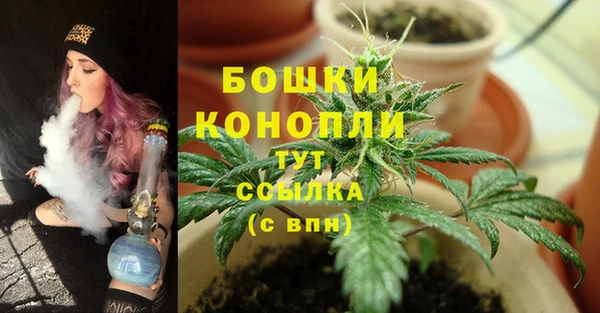 прущая мука Кодинск
