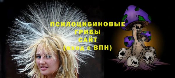 прущая мука Кодинск