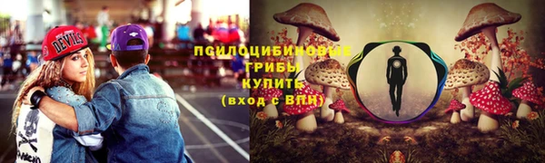 гашик Киренск