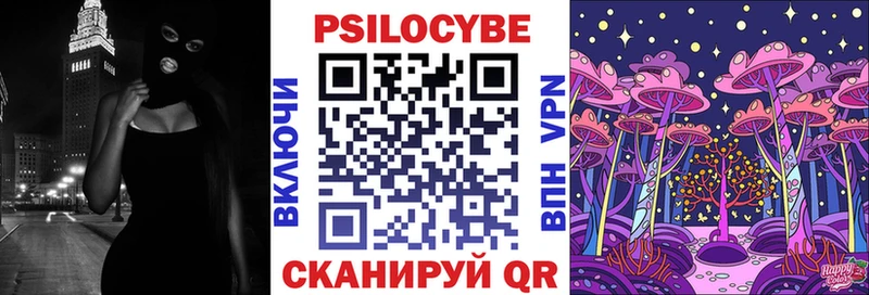 цена   Кулебаки  Галлюциногенные грибы Psilocybe 