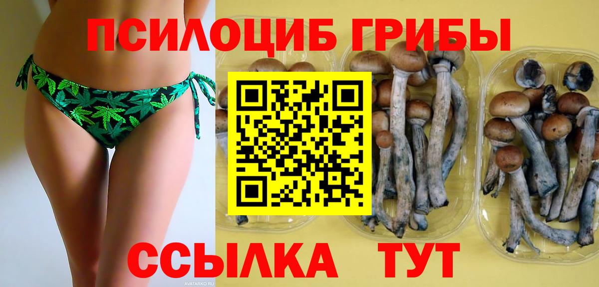Галлюциногенные грибы прущие грибы  купить наркотики сайты  Кулебаки  Вход с VPN 